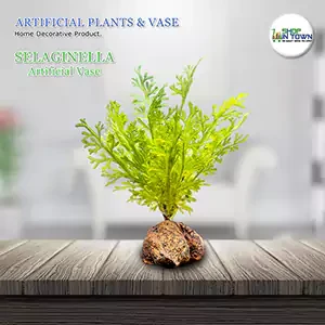 Selaginella Artificial vase