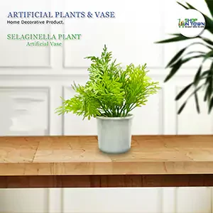 Artificial Selaginella Plant